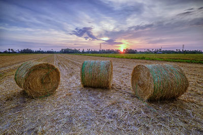 Scenic view of hay bales on field at sunset