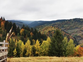 Scenic view of trees and mountains against sky