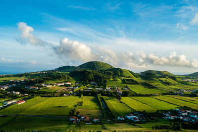 Scenic view of agricultural field against sky