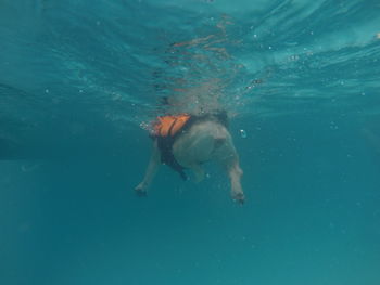 Man swimming in sea