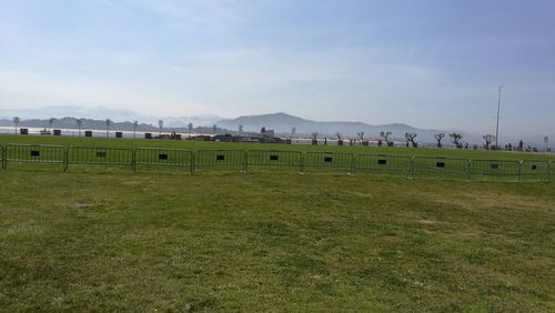 Horses on grass against sky