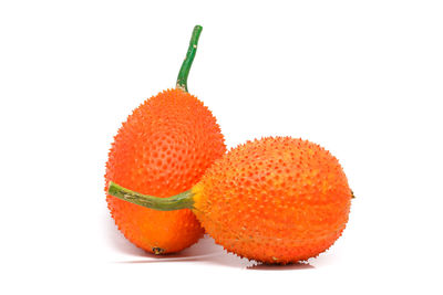 Close-up of orange fruit against white background