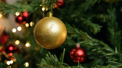 Close-up of christmas decorations hanging on tree