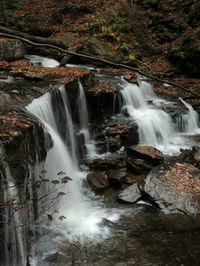 Scenic view of waterfall in forest