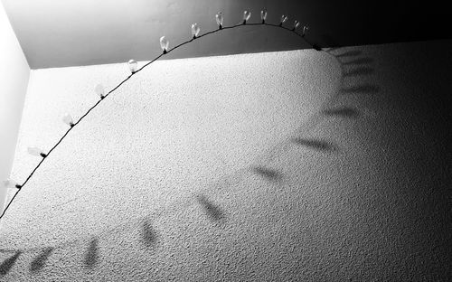High angle view of woman on bed at home