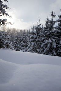 Scenic view of snow covered mountains against sky
