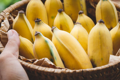 Close-up of fresh bananas