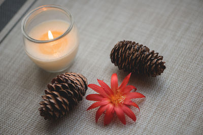 High angle view of flower with pine cones and candle on fabric
