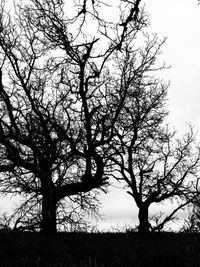 Silhouette bare tree against sky