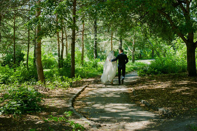 Rear view of a man walking in forest