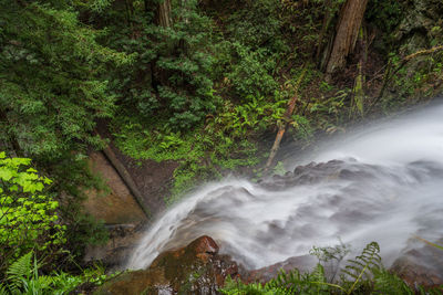 Scenic view of waterfall