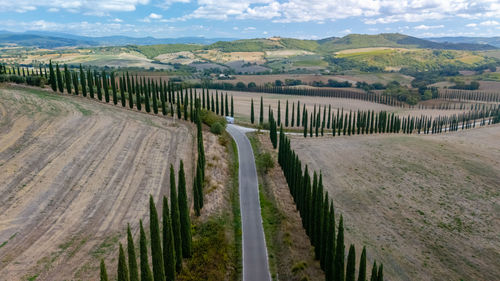 Scenic view of agricultural field against sky