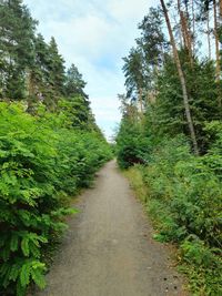 Road amidst trees and plants against sky