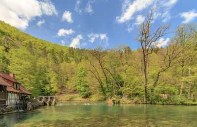 Scenic view of lake by trees against sky