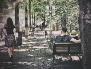 Rear view of woman sitting on bench in park