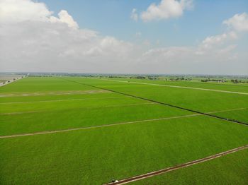 Scenic view of agricultural field against sky