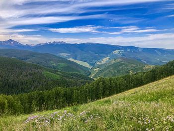 Scenic view of landscape against sky