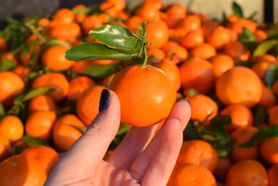 Close-up of hand holding orange