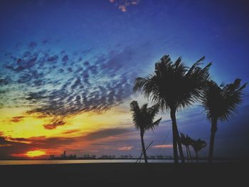 Low angle view of silhouette palm trees against sky