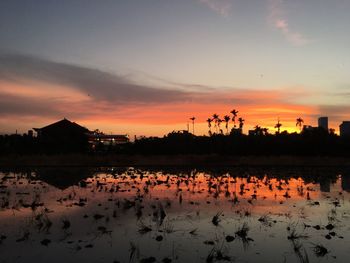 Silhouette plants by lake against sky during sunset