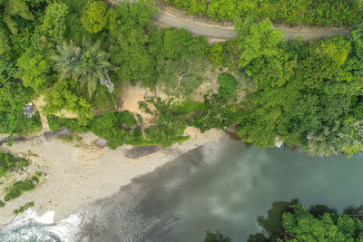 High angle view of river amidst trees