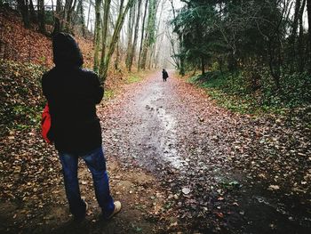 Rear view of silhouette man standing by tree