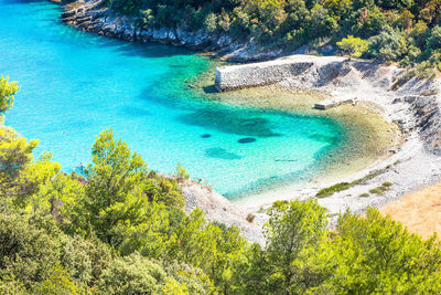 High angle view of trees on beach