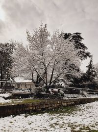 Bare trees by canal against sky during winter