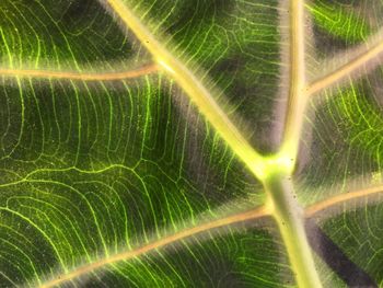 Full frame shot of abstract background