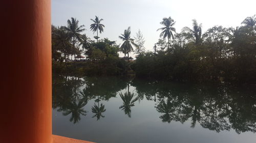 Reflection of trees in lake against sky