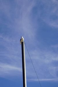 Low angle view of street light against sky