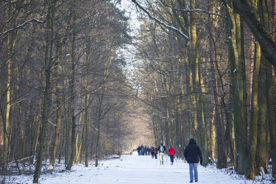 People walking on snow covered forest during winter