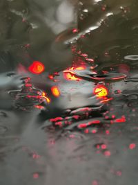 High angle view of koi carps swimming in lake