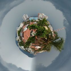 High angle view of palm tree by building against sky