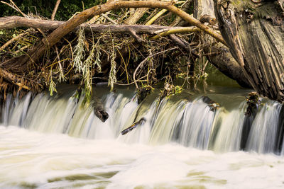 Scenic view of waterfall in forest