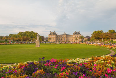 View of flowering plants by buildings against cloudy sky