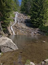 Stream flowing through rocks in forest