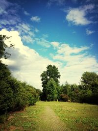 tree