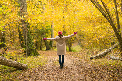 A woman walks in a beautiful autumnal yellow forest and enjoys a walk