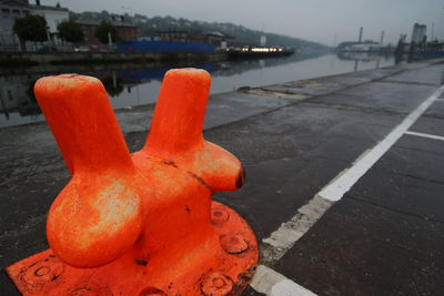 Close-up of orange by river against sky in city