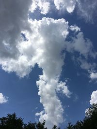 Low angle view of trees against blue sky