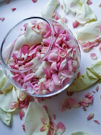 High angle view of pink flowers in bowl