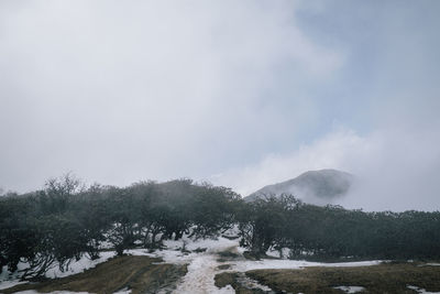 Scenic view of snow covered land against sky