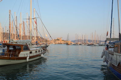 Bodrum, turkish - july 02, 2020 yachts parked in marina