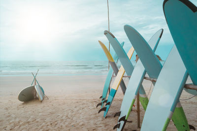 Many surfboards for rent at summer beach with sunlight blue sky background.