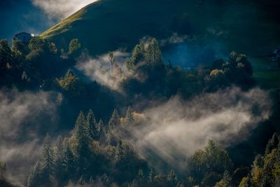 Panoramic view of trees and mountains against sky