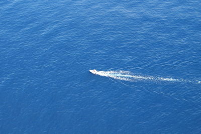 High angle view of sailboat on sea