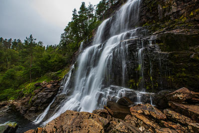 Scenic view of waterfall in forest