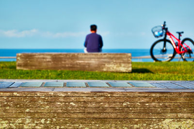 Rear view of man on bench by sea against sky
