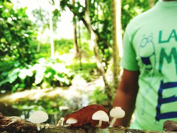 Close-up of man with mushroom growing on tree